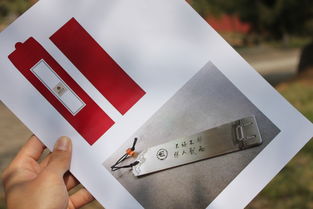 廣告策劃與設(shè)計(jì)在校園文化產(chǎn)品開(kāi)發(fā)中的創(chuàng)新應(yīng)用與網(wǎng)絡(luò)技術(shù)服務(wù)的協(xié)同價(jià)值